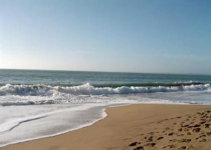 בית נופש Maison Calme Proche Plage, Sud Vendee, Animaux Admis - Fr-1-476-85 לה פוט-סור-מר